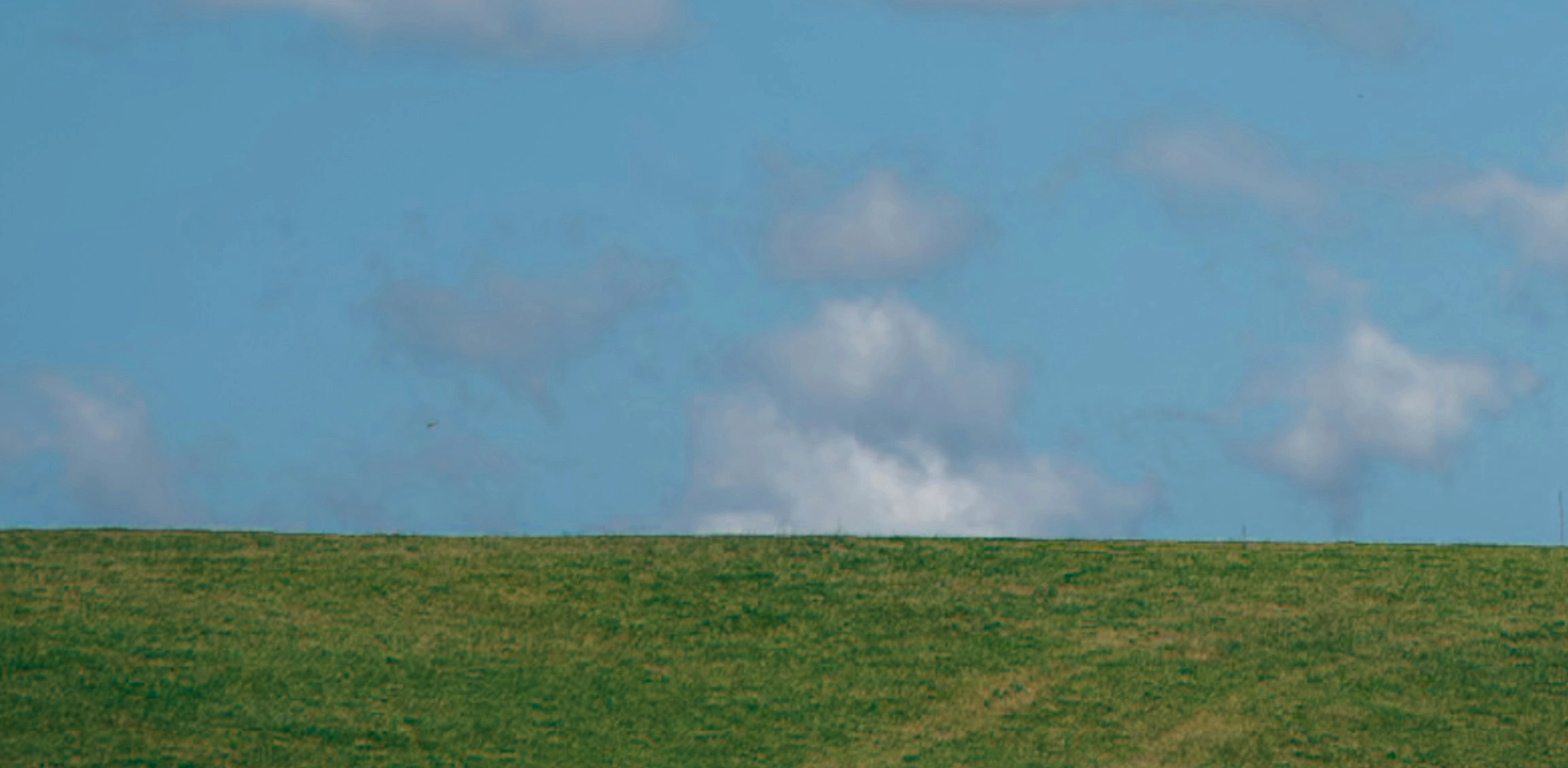 An open meadow beneath a blue, clouded sky