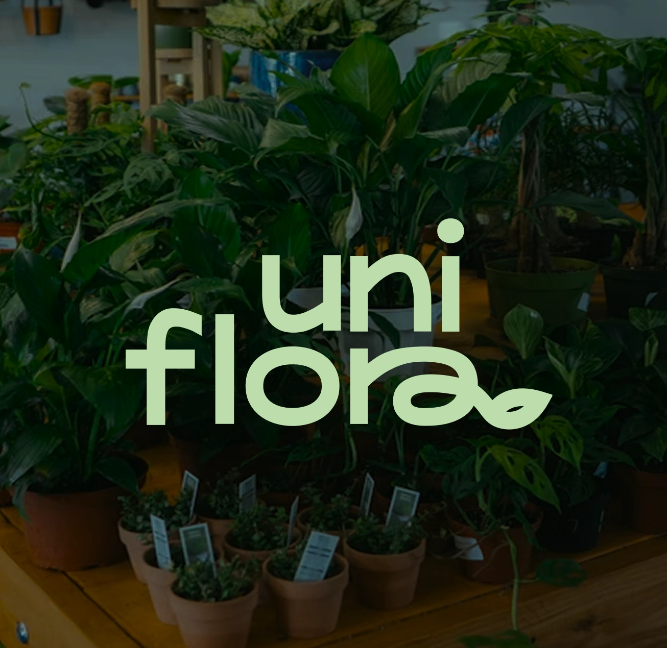 Uniflora — botanical brand identity