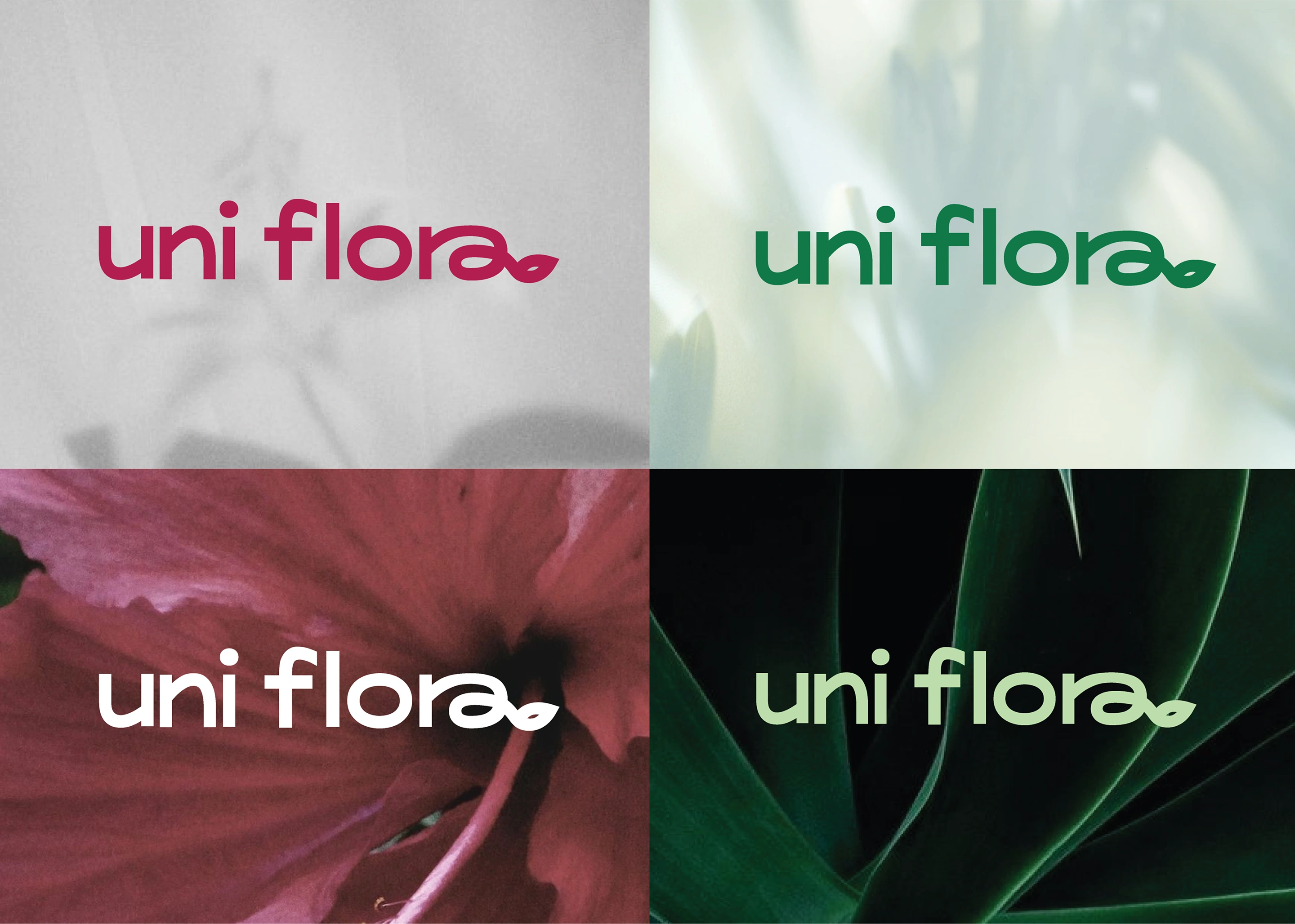 Uniflora logos in magenta, green, white, and pale green over botanical photography